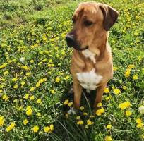 Campingplatz für Naturliebhaber