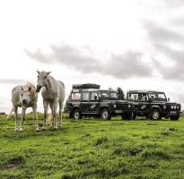 Prärie mit Cheval, schöne Aussicht auf Collines und Lisiere de B