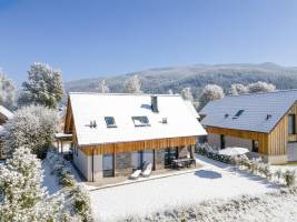 Mountain Chalet Alpinchique