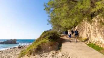 Wandel 4-daagse Mallorca Hotel Bella Playa & Spa (12-04)