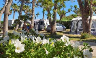 Camping & Bungalows Estanyet