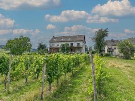 Hermes-Lex Weingut