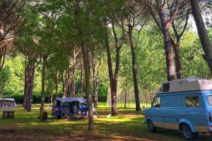 Camping Amalasunta