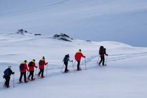 5N Sneeuwschoenwandeling in Tromsø (01dec - 01mei)