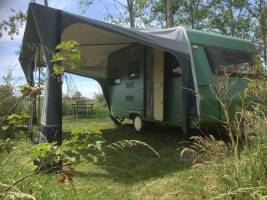 Ökologisches Zelten in einem Nahrungswald