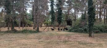 Ruhig auf dem Land, Meauzac, Okzitanien