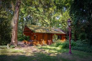 Idyllisch Natuurhuisje aan Duinrand, hondvriendelijk