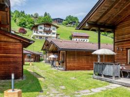 Uriges Chalet 17