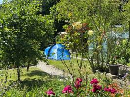 Mini-Campingplatz in Tuin Engelwortel