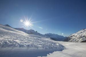 Appartement Les Capucins jardin