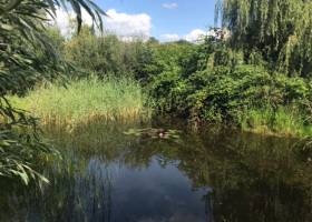 Kleines Paradies mit 3 süßen Schafen ????????????