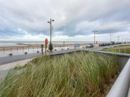 Sun Beach - 0001 + box 82 (Green Garden)