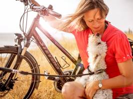 Premiumhaus im Ferienhauspark Asgard