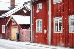 8 daagse fly drive Zweeds winter wonderland