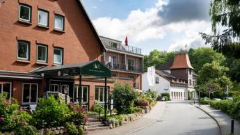 Hotel Birke