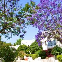 Paphos Gardens Holiday Resort