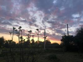 Campingplatz in Pace, Bretagne