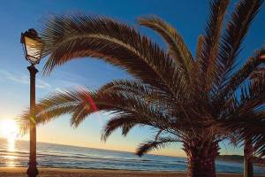 Grand Alassio