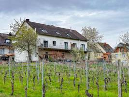 Weingut Hermes-Lex