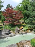 Campspace in Weitra, Niederösterreich