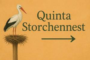 Campspace in Porches, Das Hotel liegt in Faro, nur 10 Gehminuten