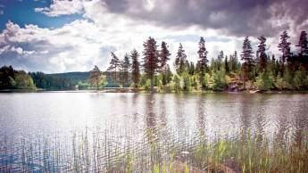 Autorondreis Zweden van berg tot kust