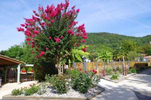 Flower Camping Le Tiradou