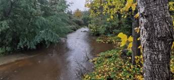 Terra da Árvores de Maio Wald- und Wiesenland in Hanglage in der