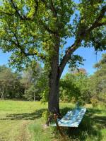 Campingplatz in Tourrettes, Provence-Alpes-Côte d'Azur