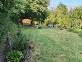 Camping zwischen einer großen Eiche und einem Gemüsegarten ????