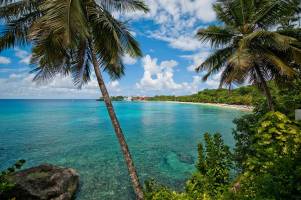 11 dg cruise Caribische Zee MSC World America