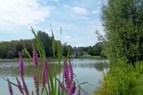 Camping de l'Aigrette