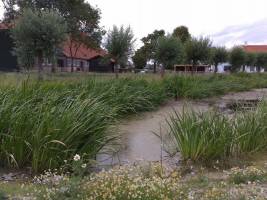 Campingplatz Farm de Schans