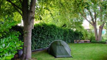 Willkommen in unserem Hinterhof. Willkommen in unserem Hinterhof