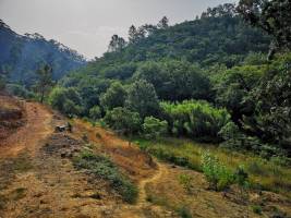 Cachopas Yoga Nature Lodge, Odeceixe, southwest coast Portugal