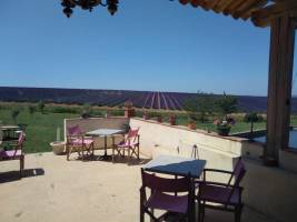Campingplatz in VALENSOLE, Provence-Alpes-Côte d’Azur
