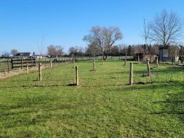 Geschützter, entspannter Platz in einem Obstgarten