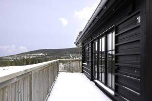 Granfjällsplatån chalet, Stöten