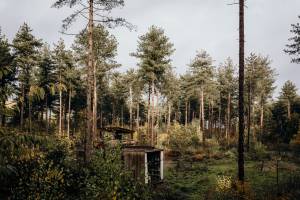 Recreatiedomein Warredal