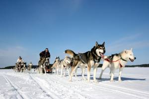 8 daagse excursiereis Ontdek Arctic Lakeland