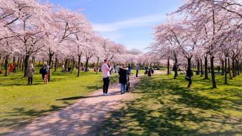 Grand Hotel Amstelveen
