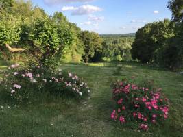 Blick auf das Paradies