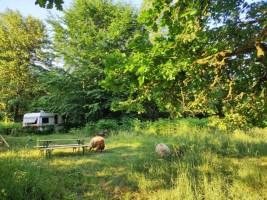 Campingplatz in Herbeumont, Provinz Luxemburg