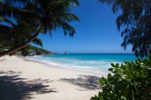 Anse Soleil Beachcomber