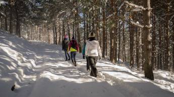 Heide Hotel Reinstorf