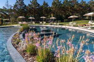 Stella del Mare Family Collection