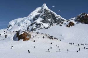 2025 Hurtigruten Zuidpool expeditie Antarctica