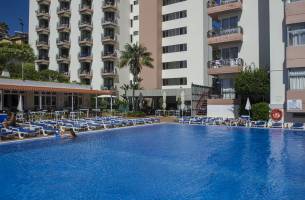 Dorisol Mimosa Studio