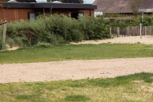 Duinenplaats XL met water