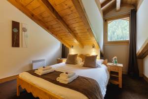 Vallorcine Loriaz 43 ski in / ski out